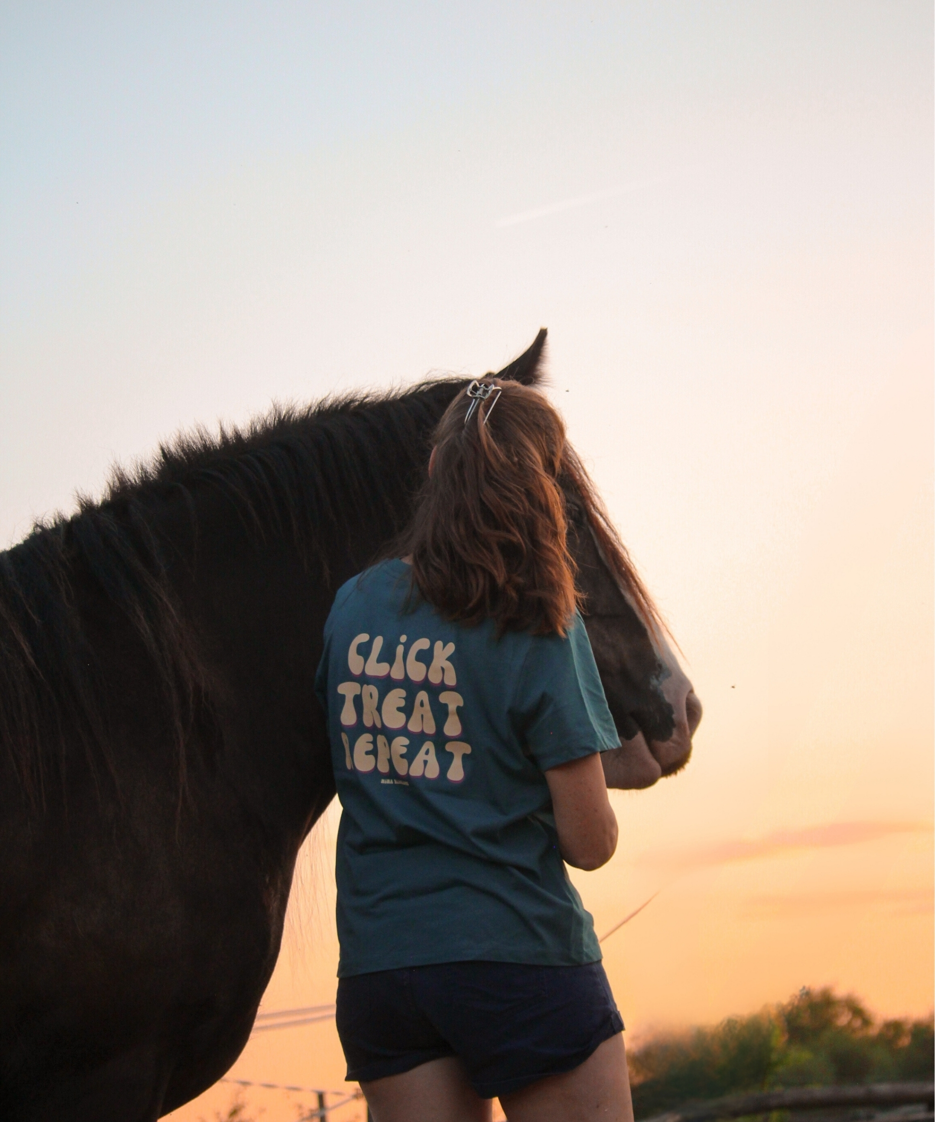 Cavalière au coucher de soleil qui caresse son irish cob noir en portant un t-shirt d'équitation bleu canard en coton biologique