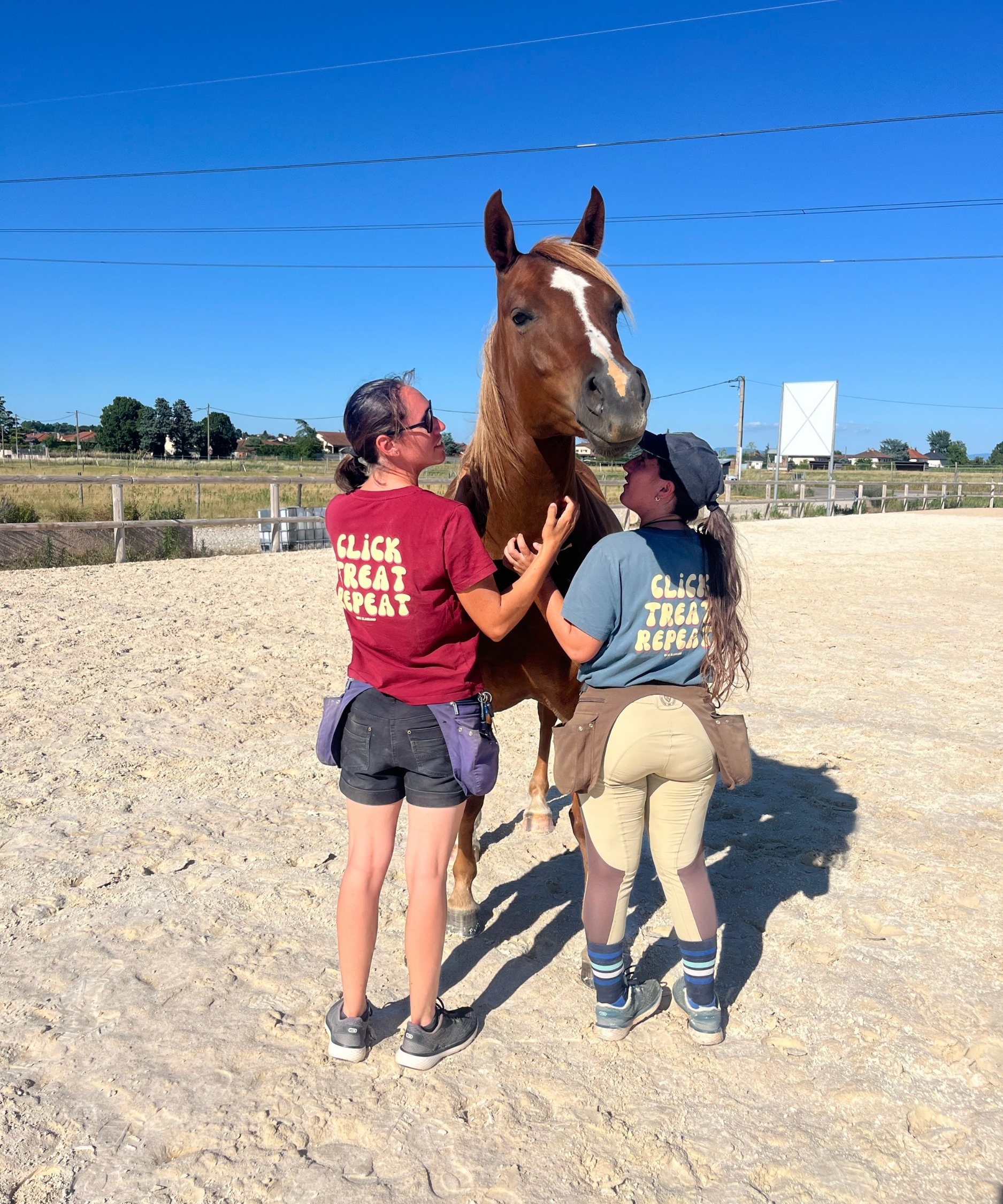 amies cavalières en t-shirts assortis qui grattent leur cheval