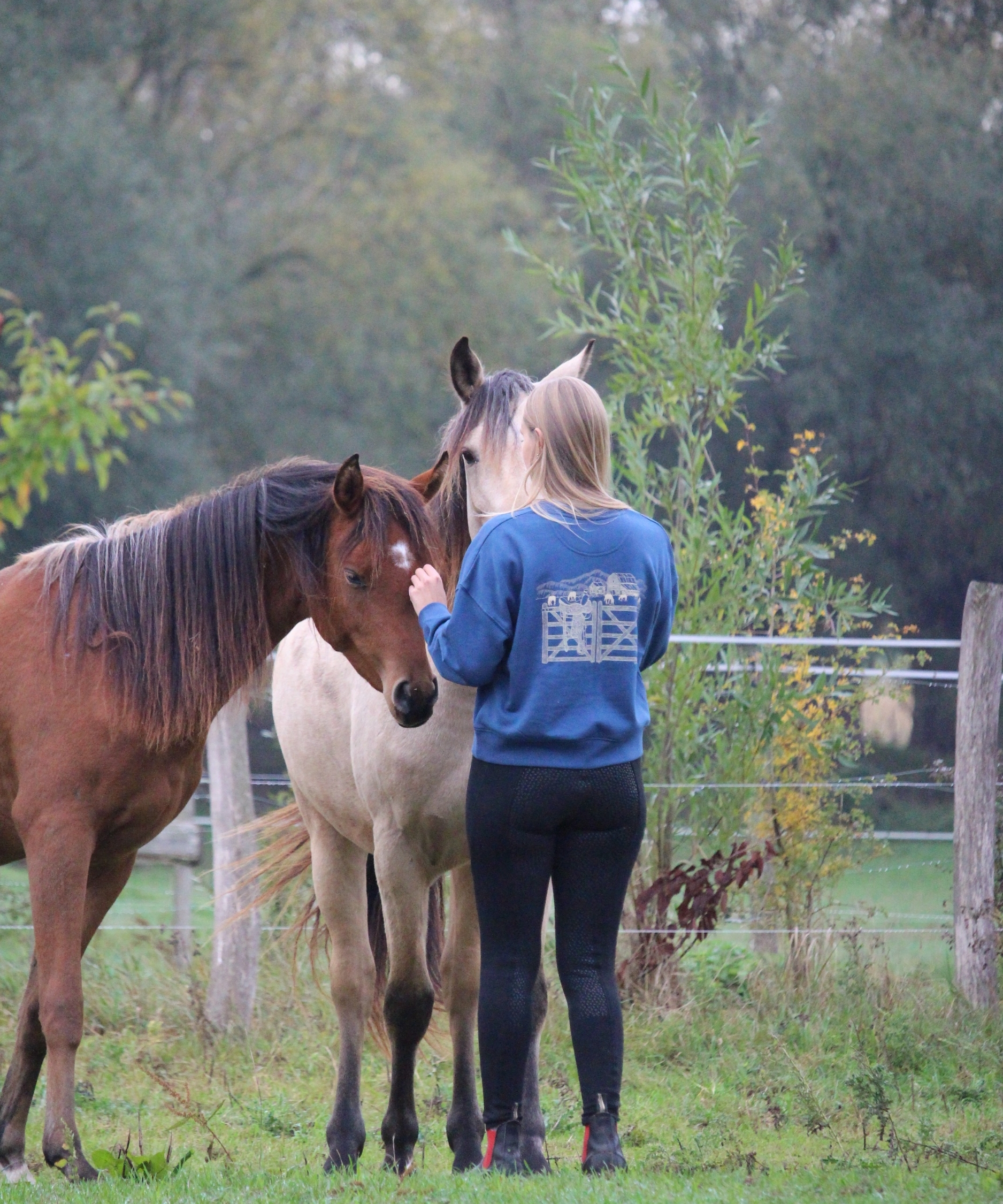 pull d'équitation bleu nuit porté par une cavalière dans un troupeau
