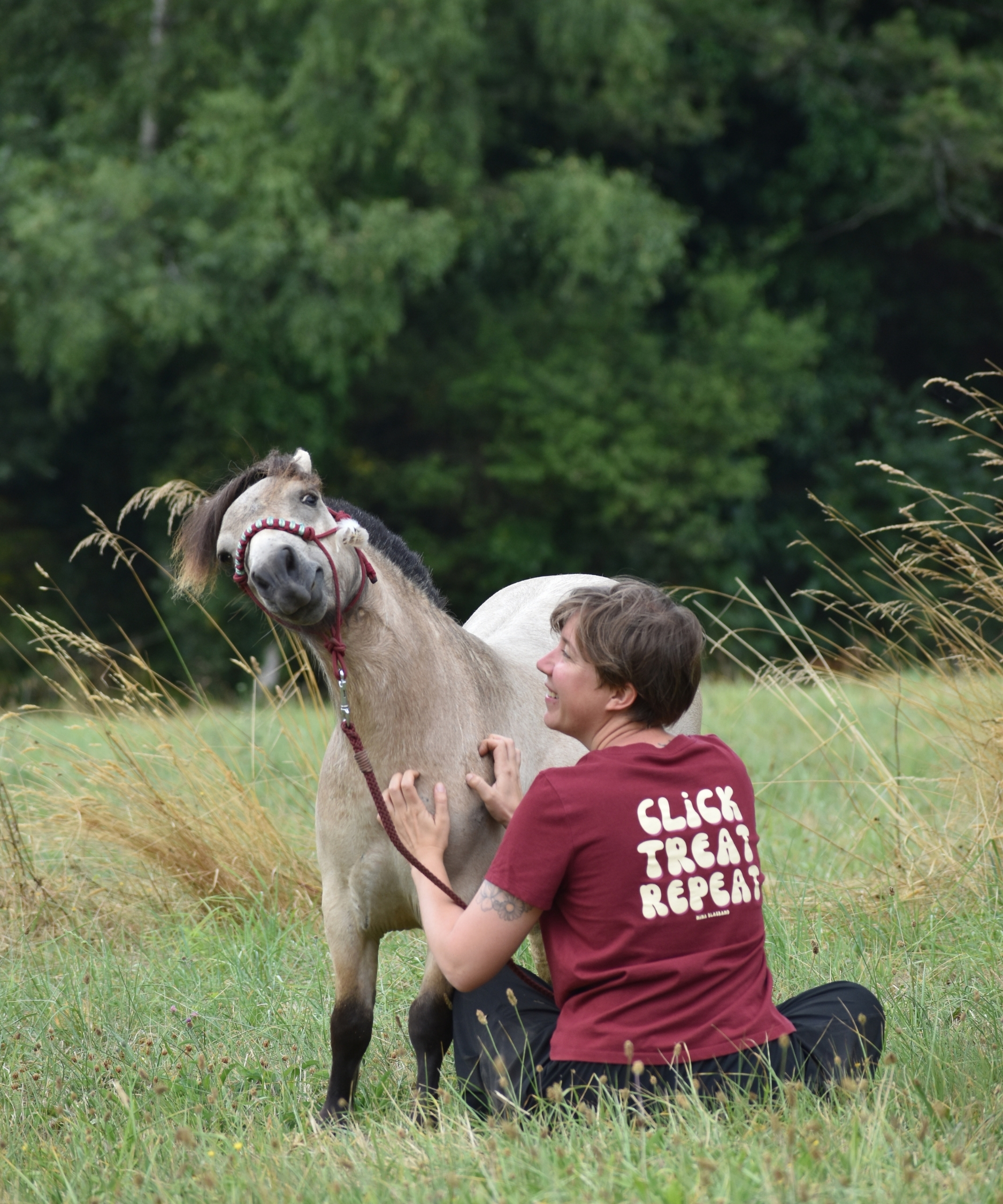 cavalière assise dans un champ gratte son shetland isabelle en licol éthologique en portant son t-shirt d'équitation bordeaux en coton biologique avec un message d'équitation alternative et de renforcement positif