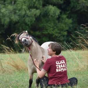 cavalière assise dans un champ gratte son shetland isabelle en licol éthologique en portant son t-shirt d'équitation bordeaux en coton biologique avec un message d'équitation alternative et de renforcement positif