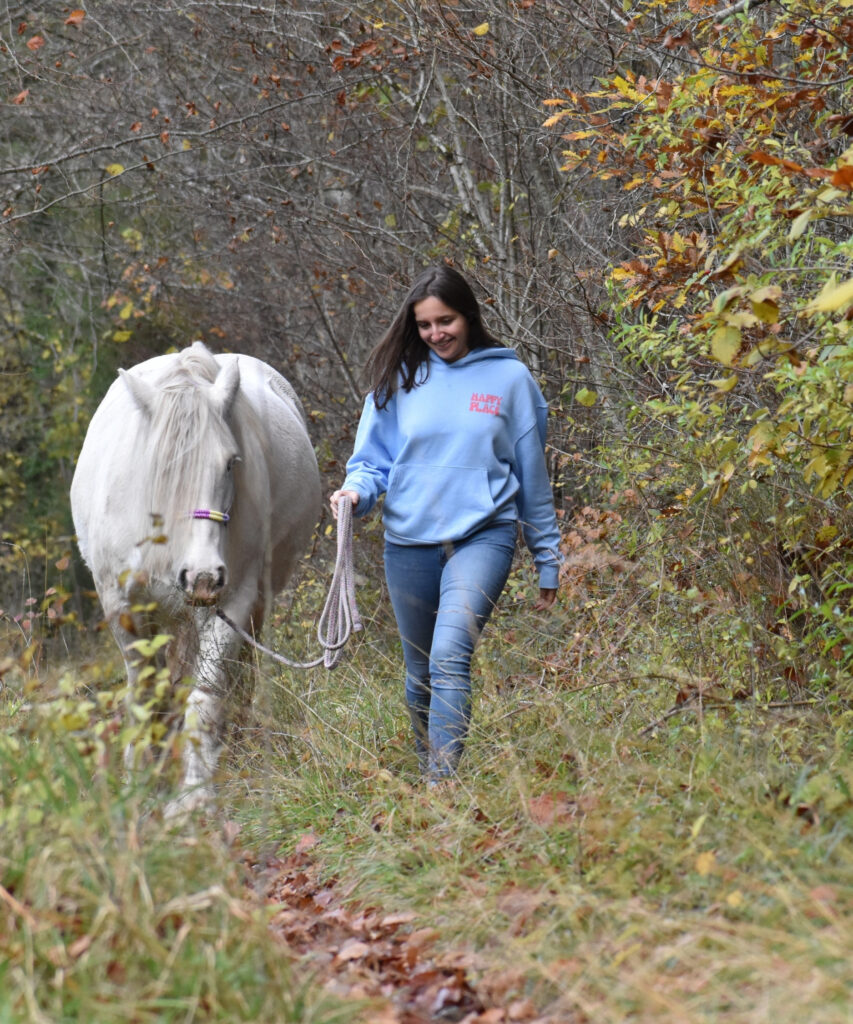 pull d'équitation en coton bio bleu clair