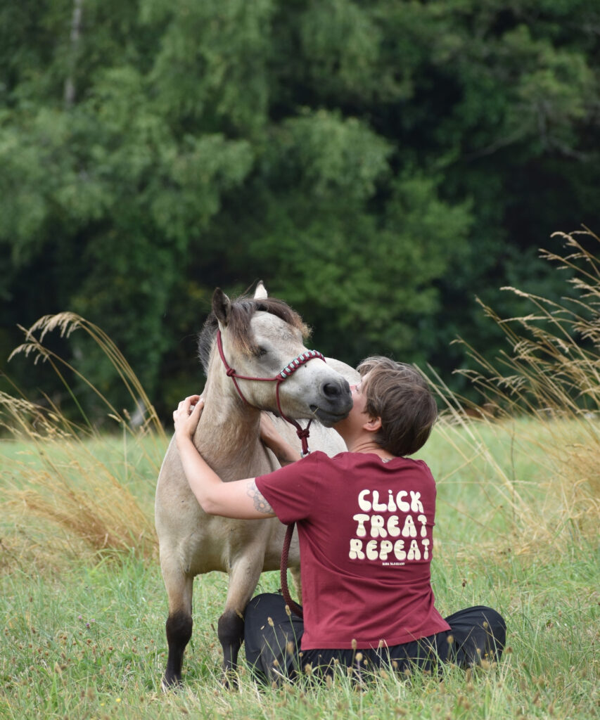 cavalière assise dans un champ câline son shetland isabelle en licol éthologique en portant son t-shirt d'équitation bordeaux en coton biologique avec un message d'équitation alternative et de renforcement positif