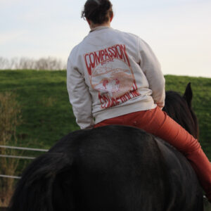 pull équestre en coton biologique avec une illustration de cavalière en liberté porté par une cavalière à cheval en liberté sur un frison