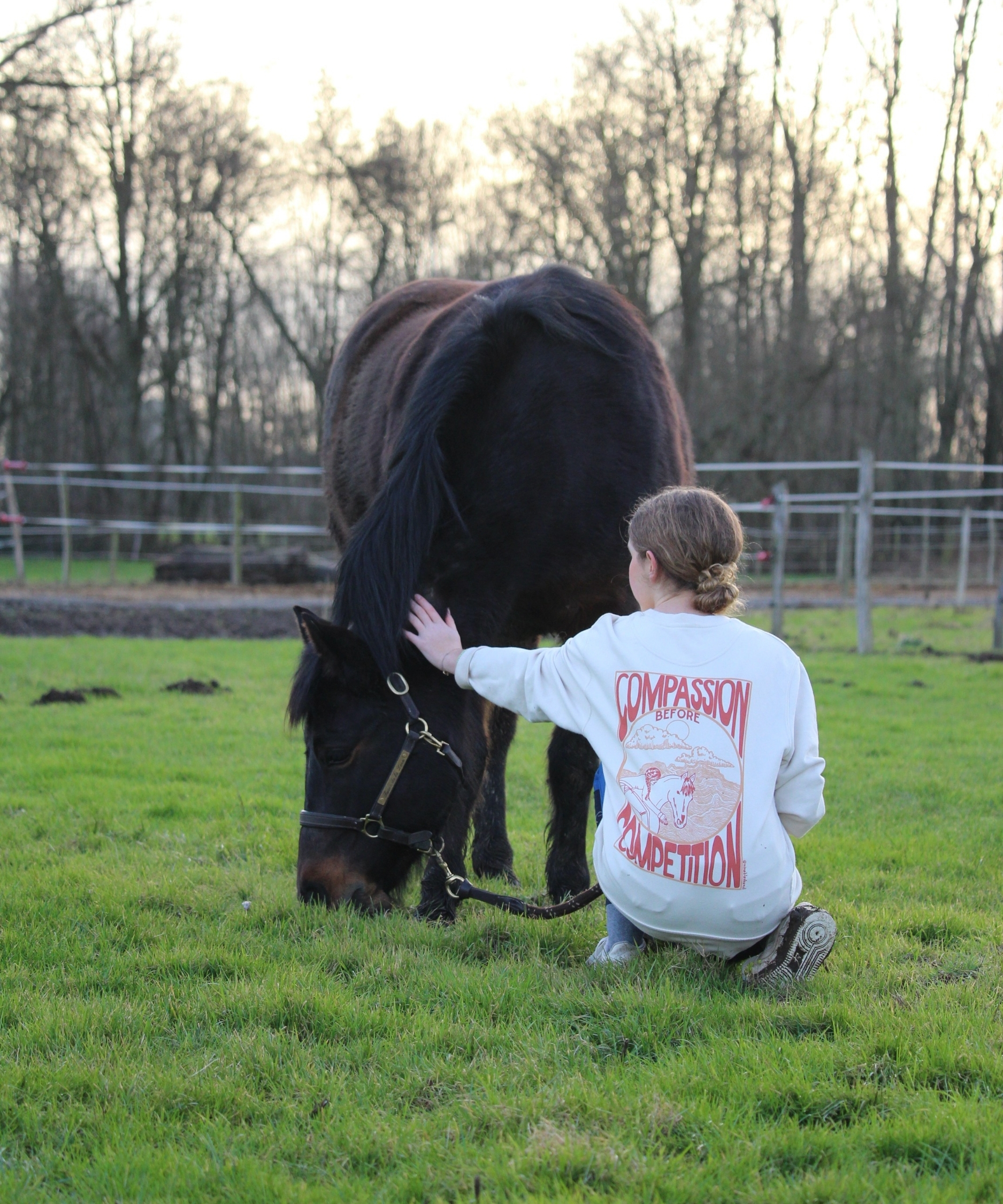 jeune cavalière qui regarde son poney bai brouter dans une prairie en portant son pull d'équitation en coton biologique avec une illustration de cavalière en liberté et de montagnes