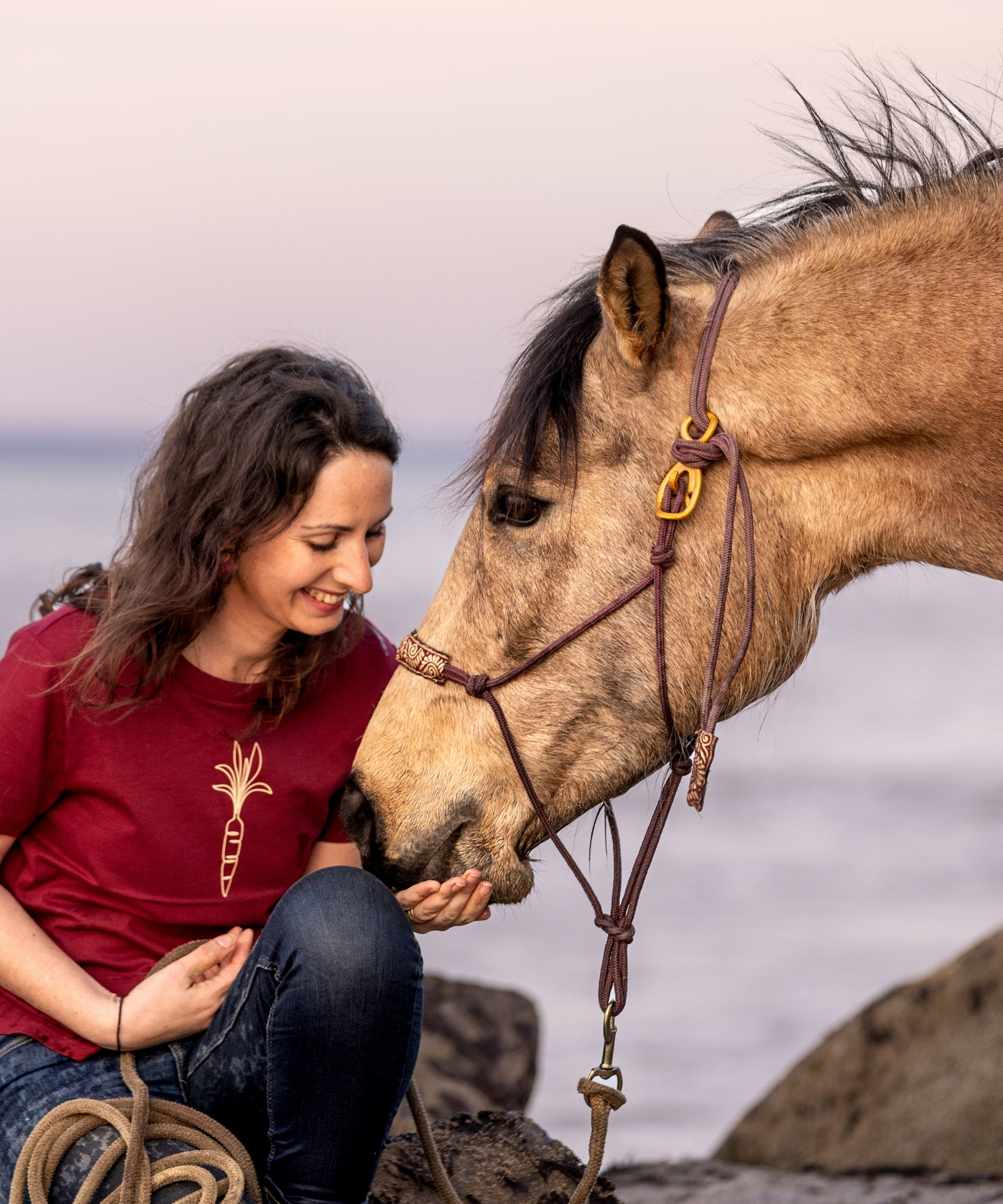 jument isabelle avec un licol éthologique et un hookilpenn qui prend une friandise offerte par sa propriétaire qui porte un t-shirt d'équitation en coton biologique bordeaux avec une carotte