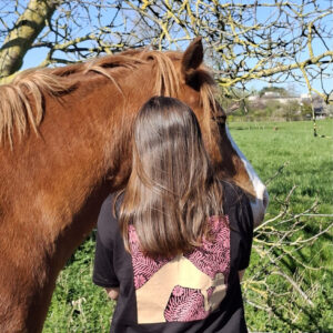 t-shirt d'équitation noir et rose en coton biologique porté par une cavalière qui brosse un cheval alezan