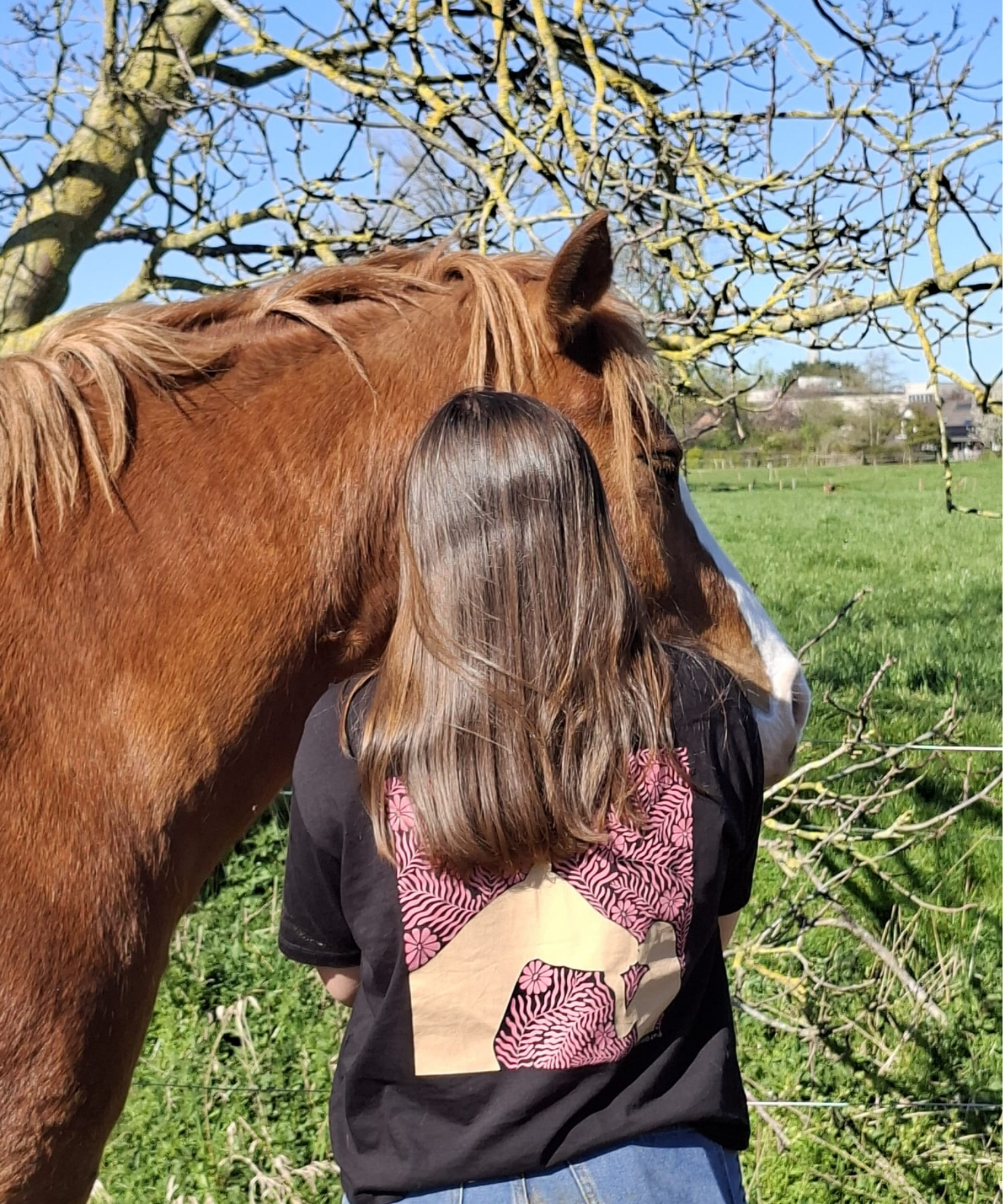 t-shirt d'équitation noir et rose en coton biologique porté par une cavalière qui brosse un cheval alezan