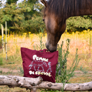 le TOTE- femme de cheval
