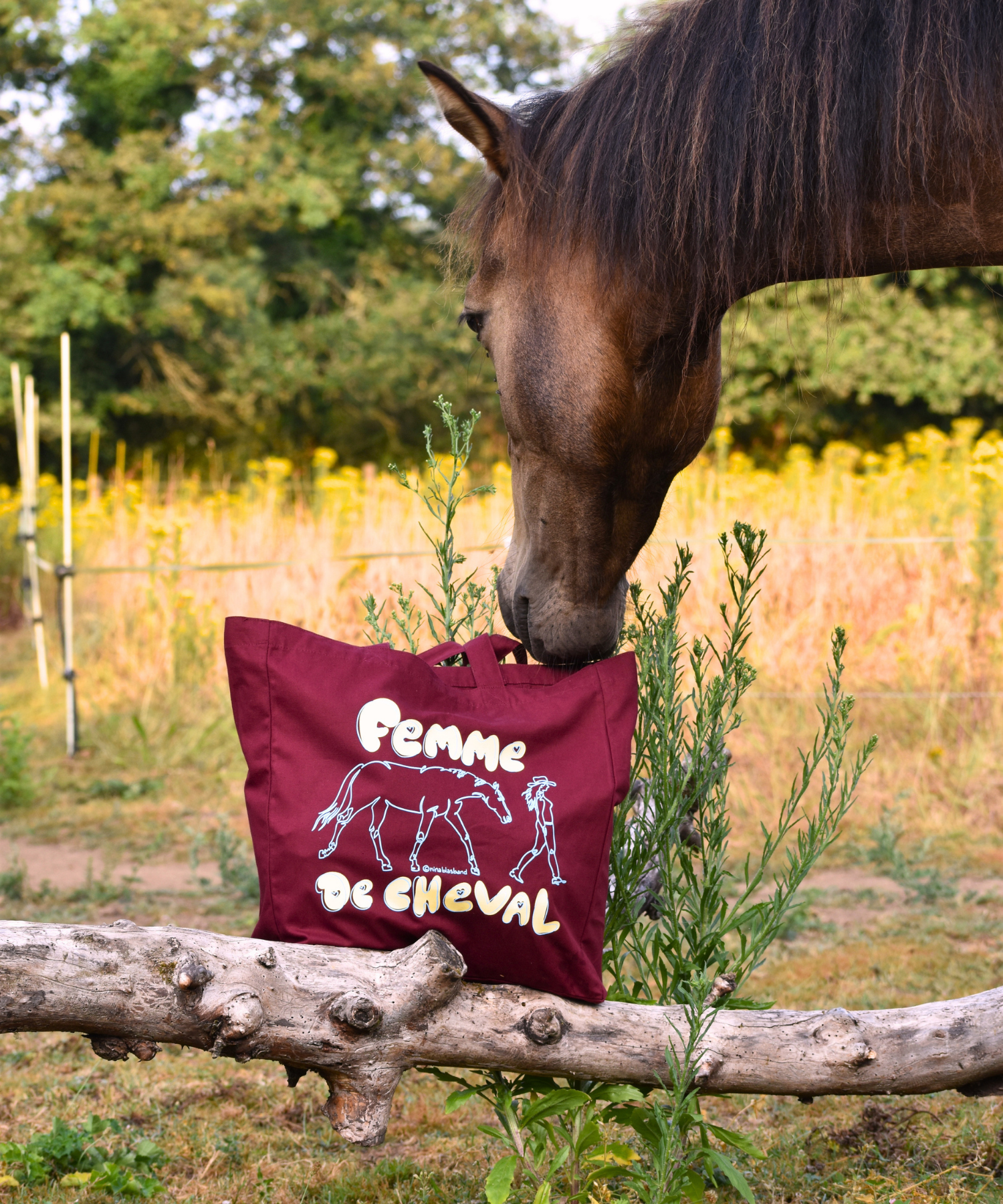 le TOTE- femme de cheval